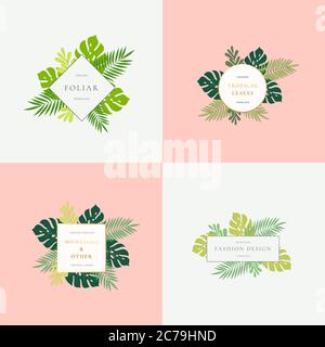 Set von Monstera Tropical Leaves Fashion Signs oder Logo Vorlagen. Abstraktes Blatt mit goldenen Bordüren und klassischer Typografie. Pastellhintergründe. Stock Vektor