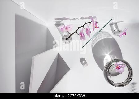 Geometrische eckige Komposition mit phalaenopsis Orchideenblumen, verschiedenen Glasobjekten und Schatten auf weißem Hintergrund. Stockfoto