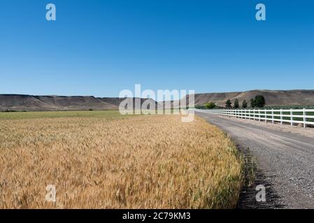 Landschaften des Staates Idaho, USA Stockfoto