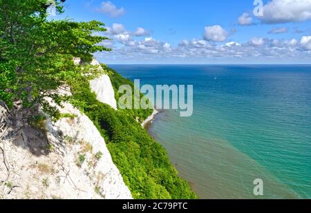 Kreidefelsen bei Sassnitz, Insel Rügen Stockfoto