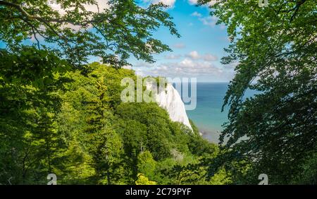 Kreidefelsen bei Sassnitz, Insel Rügen Stockfoto