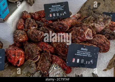 Capbreton, Frankreich. 27.06.2020. Französischer Fischmarkt. Skorpionfisch. Meer verschiedene Arten von frischen Fischen. Stockfoto