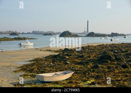 Leuchtturm der Ile Vierge bei Plouguerneau in Bretagne Frankreich Stockfoto