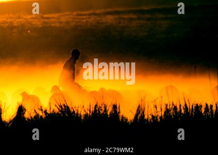 Sonnenuntergang Natur und Hirte. Sonnenuntergang Natur Hintergrund. Schafe und Schäfer Silhouette. Stockfoto