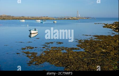 Leuchtturm der Ile Vierge bei Plouguerneau in Bretagne Frankreich Stockfoto