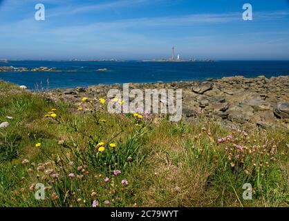 Leuchtturm der Ile Vierge bei Plouguerneau in Bretagne Frankreich Stockfoto