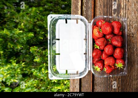 Gute Bio-Erdbeeren in einer Plastikbox auf einem alten Holzhintergrund. Lieferung von Bio-Produkten. Verpackung von Bio-Erdbeeren Stockfoto