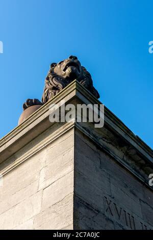 Detail der gusseisernen Statue auf dem berühmten Löwenhügel-Denkmal in Waterloo. Dieses Denkmal erinnert an die Schlacht von Waterloo im Jahr 1815 Stockfoto