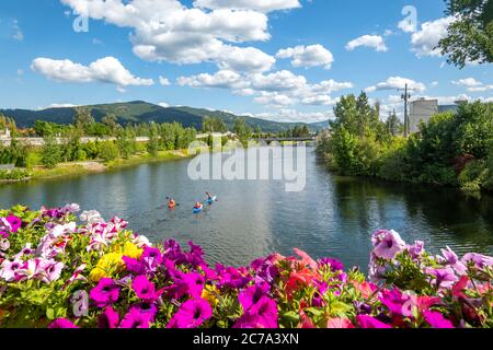 Eine Gruppe von Kajakfahrern genießt einen schönen Sommertag auf dem Sand Creek River und Lake Pend Oreille in der Innenstadt von Sandpoint, Idaho, USA Stockfoto