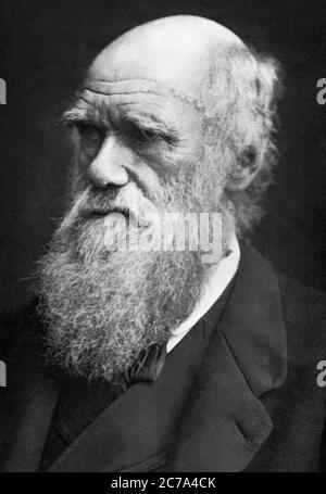 Charles Robert Darwin (1809-1882), Evolutionist und Autor von On the Origin of Species, in einem Porträt von Lock und Whitfield aus dem Jahr 1877. Stockfoto