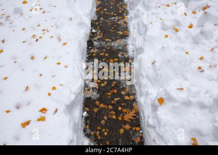Gefallene orangefarbene Blätter, bedeckt mit Schnee, liegen auf dem Fußweg. Gelbes Blatt. Herbstblatt Herbst. Stockfoto