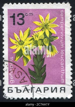 BULGARIEN - UM 1966: Briefmarke gedruckt von Bulgarien, zeigt Tigerlilie, um 1966 Stockfoto