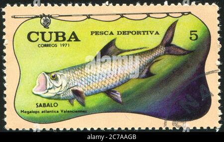 KUBA - UM 1971: Briefmarke gedruckt von Kuba, zeigt Fisch, Megalops atlantica, um 1971 Stockfoto