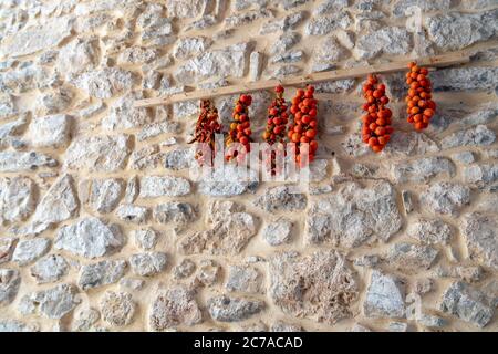 Geerntete Tomaten trocknen an einer Wand mit traditionellen Mustern im Dorf Pirgi auf der griechischen Insel Chios. Stockfoto