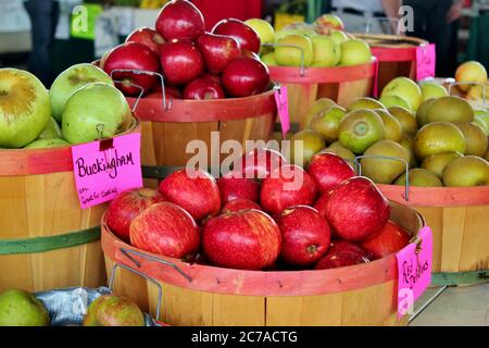 Äpfel, reifen und frisch in Körben gepflückt Stockfoto