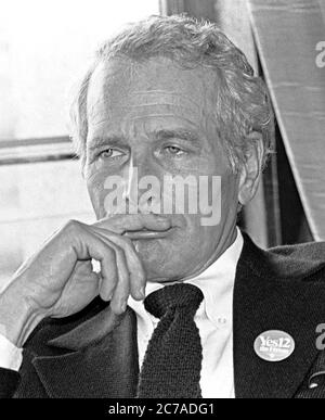 Paul Newman bei einer Pressekonferenz im Rathaus von San Francisco, der Bürgermeister Dianne Feinstein, unterstützte das Ja zum kalifornischen Vorschlag 12, der staatlichen Initiative für nukleare Freeze, im Oktober 1982 Stockfoto