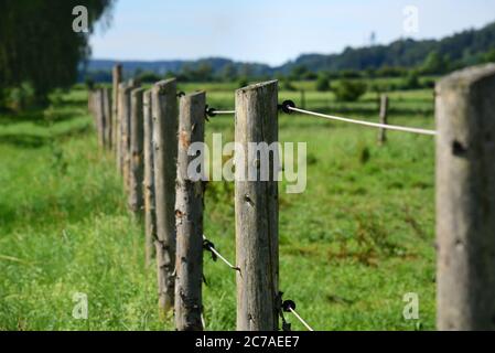 Detail eines elektrischen Zauns aus Holz und mit Kabeln auf einer Weide Stockfoto