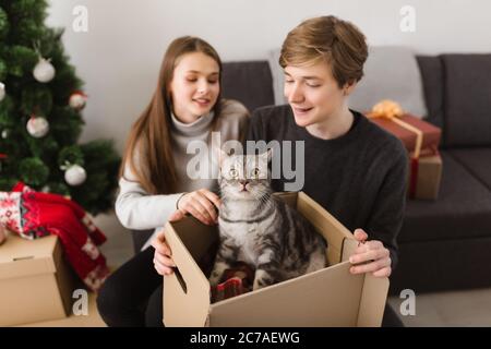 Portrait von kühlen jungen Paar und schöne Katze sitzt in der Box mit Weihnachtsbaum auf dem Hintergrund Stockfoto