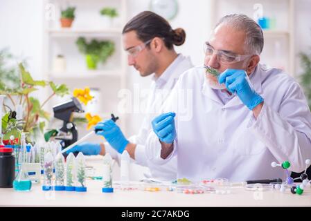 Zwei Chemiker, die im Labor arbeiten Stockfoto