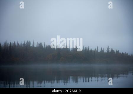 Ein nebeliger Morgen über dem Lake Iliamna, Alaska, mit ruhigem Wasser, das die bewaldete Küste und die nebelige Atmosphäre reflektiert und die ruhige Wildnis eingefangen Stockfoto