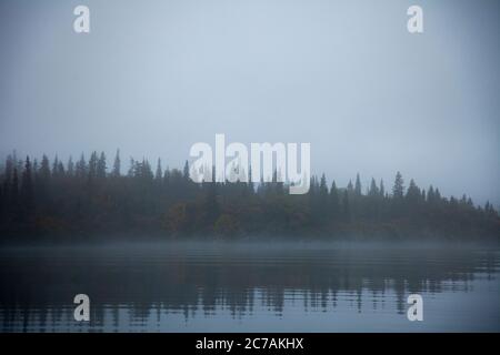 Ein nebeliger Morgen über dem Lake Iliamna, Alaska, mit ruhigem Wasser, das die bewaldete Küste und die nebelige Atmosphäre reflektiert und die ruhige Wildnis eingefangen Stockfoto