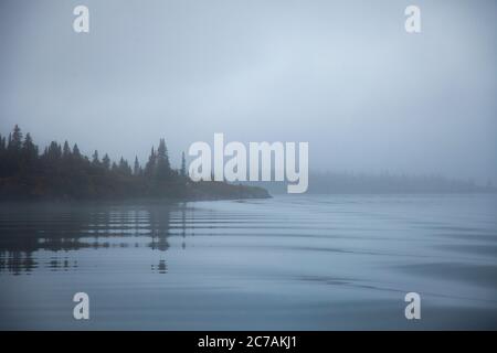 Ein nebeliger Morgen über dem Lake Iliamna, Alaska, mit ruhigem Wasser, das die bewaldete Küste und die nebelige Atmosphäre reflektiert und die ruhige Wildnis eingefangen Stockfoto