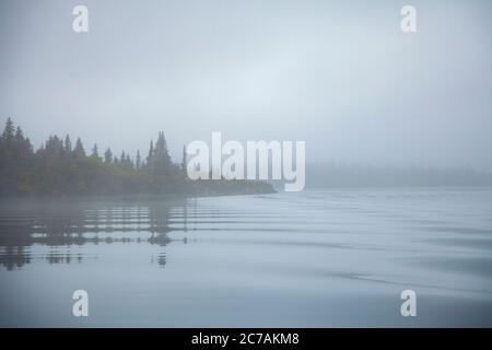 Ein nebeliger Morgen über dem Lake Iliamna, Alaska, mit ruhigem Wasser, das die bewaldete Küste und die nebelige Atmosphäre reflektiert und die ruhige Wildnis eingefangen Stockfoto