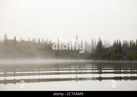 Ein nebeliger Morgen über dem Lake Iliamna, Alaska, mit ruhigem Wasser, das die bewaldete Küste und die nebelige Atmosphäre reflektiert und die ruhige Wildnis eingefangen Stockfoto