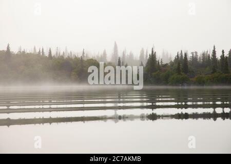 Ein nebeliger Morgen über dem Lake Iliamna, Alaska, mit ruhigem Wasser, das die bewaldete Küste und die nebelige Atmosphäre reflektiert und die ruhige Wildnis eingefangen Stockfoto