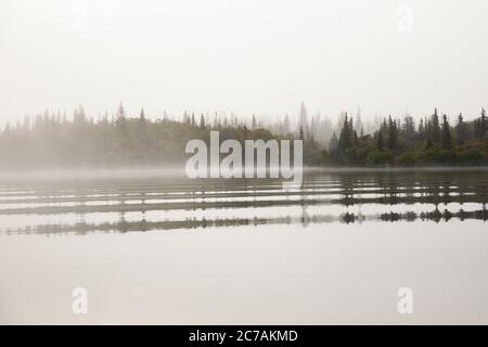 Ein nebeliger Morgen über dem Lake Iliamna, Alaska, mit ruhigem Wasser, das die bewaldete Küste und die nebelige Atmosphäre reflektiert und die ruhige Wildnis eingefangen Stockfoto