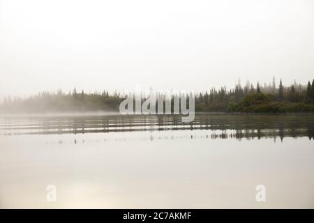 Ein nebeliger Morgen über dem Lake Iliamna, Alaska, mit ruhigem Wasser, das die bewaldete Küste und die nebelige Atmosphäre reflektiert und die ruhige Wildnis eingefangen Stockfoto