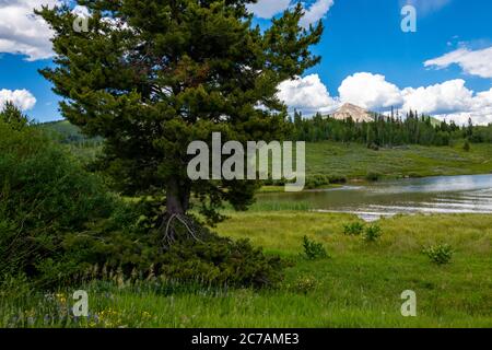 Landschaft rund um Steamboat Lake in der Sommerzeit Stockfoto