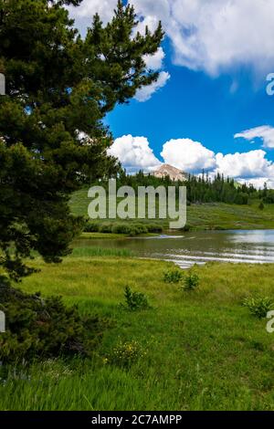 Landschaft rund um Steamboat Lake in der Sommerzeit Stockfoto