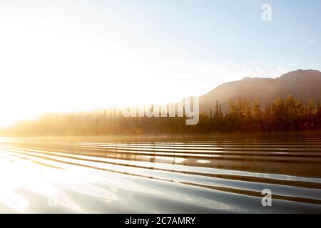 Goldener Sonnenaufgang über dem Lake Iliamna, Alaska, mit ruhigem, plätscherndem Wasser und nebligem Licht, das die Wildnis und den Herbstwald beleuchtet. Stockfoto