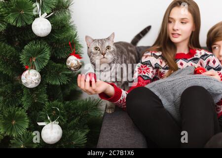 Nahaufnahme Foto von schönen Katze in der Nähe von Weihnachtsbaum und hübsches Mädchen sitzt in der Nähe auf dem Sofa zu Hause Stockfoto