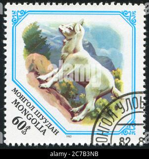 MONGOLEI - UM 1982: Briefmarke gedruckt von der Mongolei, zeigt Kind, um 1982. Stockfoto