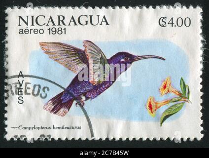 NICARAGUA - UM 1981: Briefmarke gedruckt von Nicaragua, zeigt Vogel, um 1981. Stockfoto