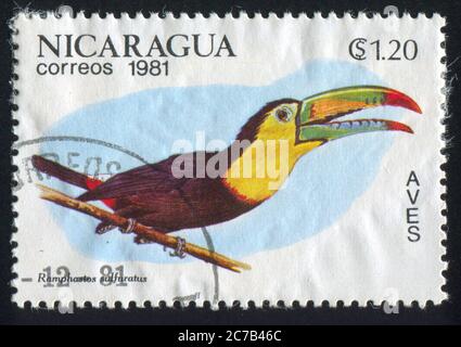NICARAGUA - UM 1981: Briefmarke gedruckt von Nicaragua, zeigt Vogel, um 1981. Stockfoto