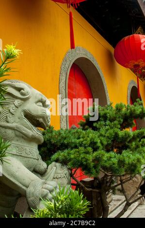 Wächter aus Löwenstein und rote Laternen vor dem Jade Buddha-Tempel, einem buddhistischen Tempel in Shanghai, China. Stockfoto