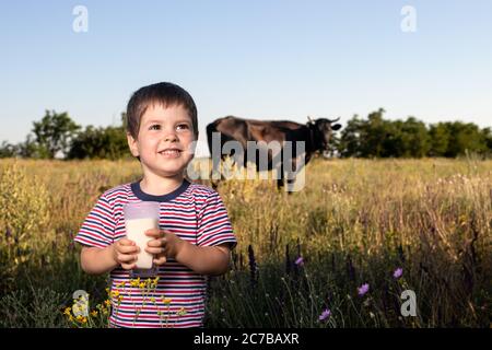 Ein kleiner Junge in einem gestreiften, hellen T-Shirt hält und trinkt natürliche Kuhmilch gegen eine schwarze Kuh auf einem Feld. Stockfoto