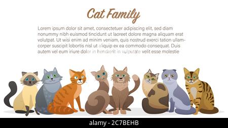 Nette Cartoon Katzen Familie staing zusammen Vorderansicht. Katze Haustier Freund Stock Vektor