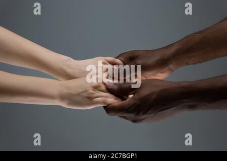 Stützhände. Rassistische Toleranz. Respektieren Sie die soziale Einheit. Afrikanische und kaukasische Hände gestikulieren auf grauem Studiohintergrund. Menschenrechte, Freundschaft, Konzept der Einheit der Intenationalen. Interrassische Einheit. Stockfoto