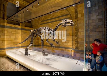 London, Großbritannien. Ca. August 2017. Kid und seine Mutter interessierten sich für einen Dinosaurier im Natural History Museum of London. Stockfoto