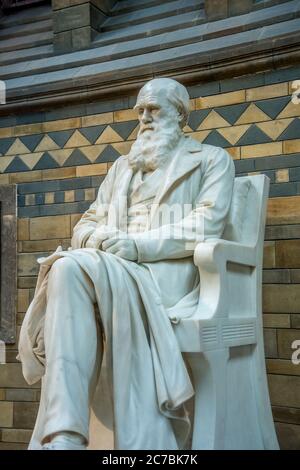 London, Großbritannien. Ca. September 2017. Statue von Charles Darwin im Natural History Museum in London Stockfoto