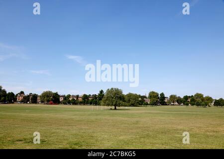 Peckham Rye Common, Peckham, London, Großbritannien Stockfoto