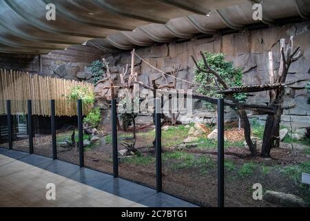 Berlin, Deutschland. Juli 2020. Blick in die Anlage für die malaysischen Bären im Alfred-Brehm-Haus im Berliner Zoo. Nach zwei Jahren Umbau öffnet das renovierte Alfred-Brehm-Haus im Berliner Zoo seine Türen für Besucher. (Zu 'Brehm-Haus im Tierpark öffnet wieder') Quelle: Paul Zinken/dpa-Zentralbild/dpa/Alamy Live News Stockfoto