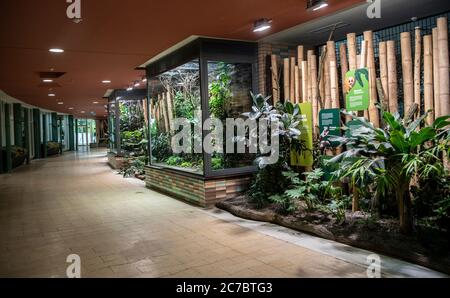 Berlin, Deutschland. Juli 2020. Blick in das renovierte Alfred-Brehm-Haus im Berliner Zoo. Nach zwei Jahren Umbau öffnet das renovierte Alfred-Brehm-Haus im Berliner Zoo für Besucher. (Zu 'Brehm-Haus im Tierpark öffnet wieder') Quelle: Paul Zinken/dpa-Zentralbild/dpa/Alamy Live News Stockfoto