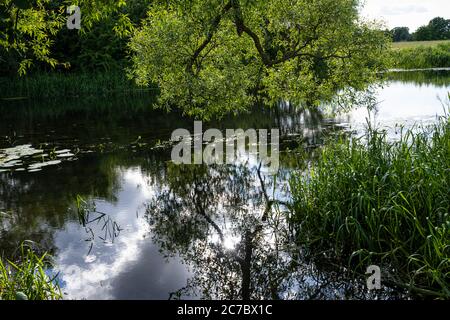 Wunderschöner trübiger Fluss, der durch eine üppige, grüne Gegend schwimmt. Reflexionen von Bäumen Stockfoto