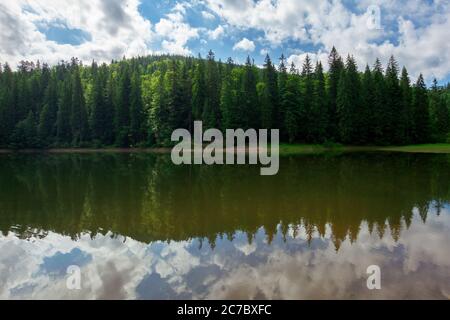 Landschaft rund um den See in den Bergen. Fichtenwald am Ufer. Spiegelung im Wasser. Sonniges Wetter mit Wolken am blauen Himmel Stockfoto