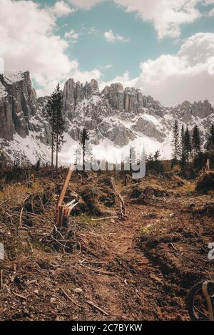 Vertikale Aufnahme eines Pfades in einem Feld, das zu führt Die Berge bedeckt mit Schnee unter dem wolkigen Himmel Stockfoto